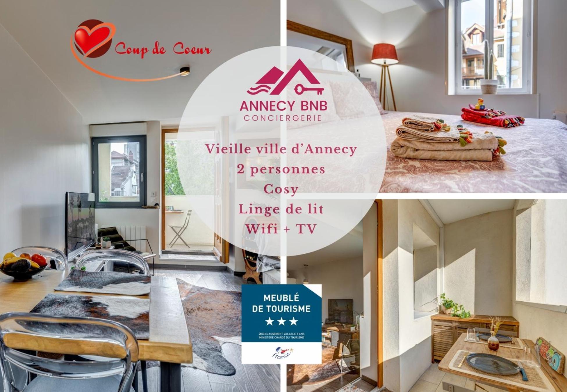 Le Pura Vida, Hyper Centre Terrasse + Parking Apartment อานซี ภายนอก รูปภาพ